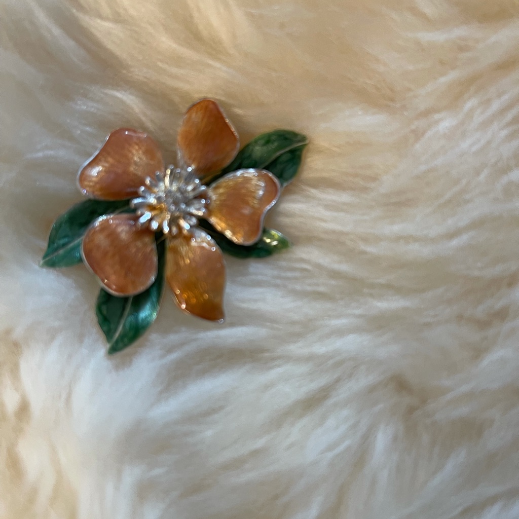 Vintage Pin BlBl
